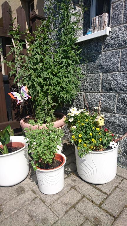 Ferienwohnung mit Garten und Spielplatz room 6